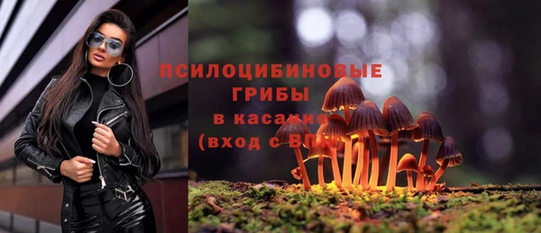 PSILOCYBIN Беломорск